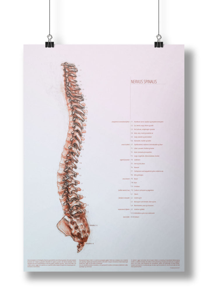 Plakat-bundle: 3 plakater om kropssproget