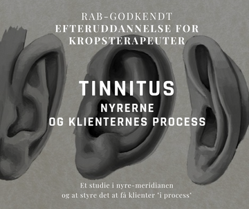 Behandling af tinnitus - ørerne, nyrerne og klienternes process - 17/8/24: RAB-godkendt efteruddannelse for kropsterapeuter