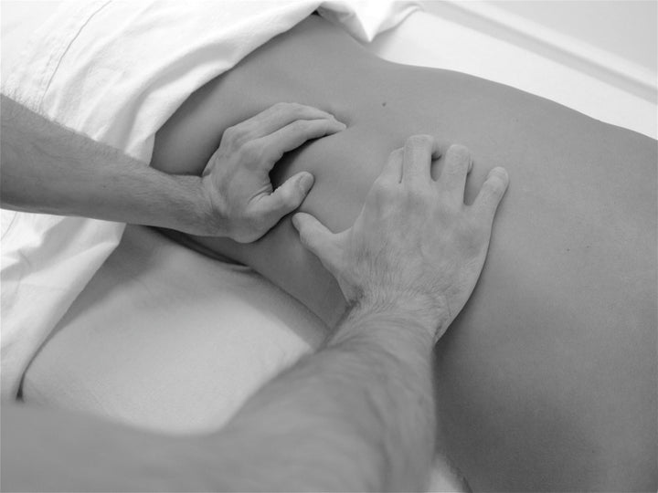 Hvad er Body SDS #3: Den holistiske del